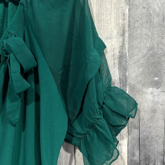 Womans Liz McCoy Blouse Green Size Large Sheer Ruffle Arms - Picture 3 of 8
